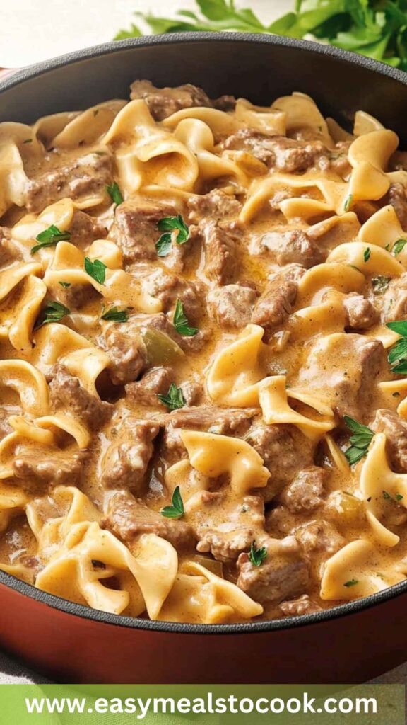 Best One Pot Beef Stroganoff Recipe