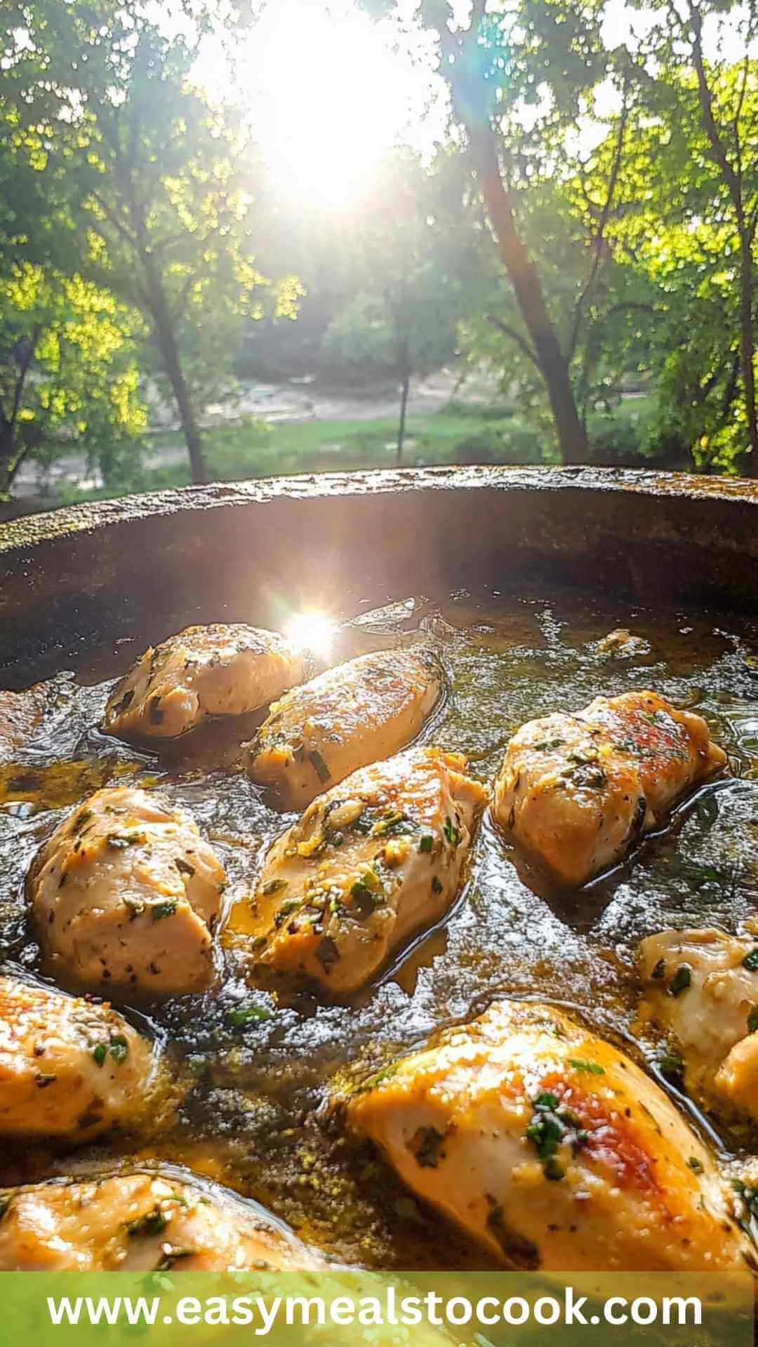 Best Buttery Garlic Chicken Recipe