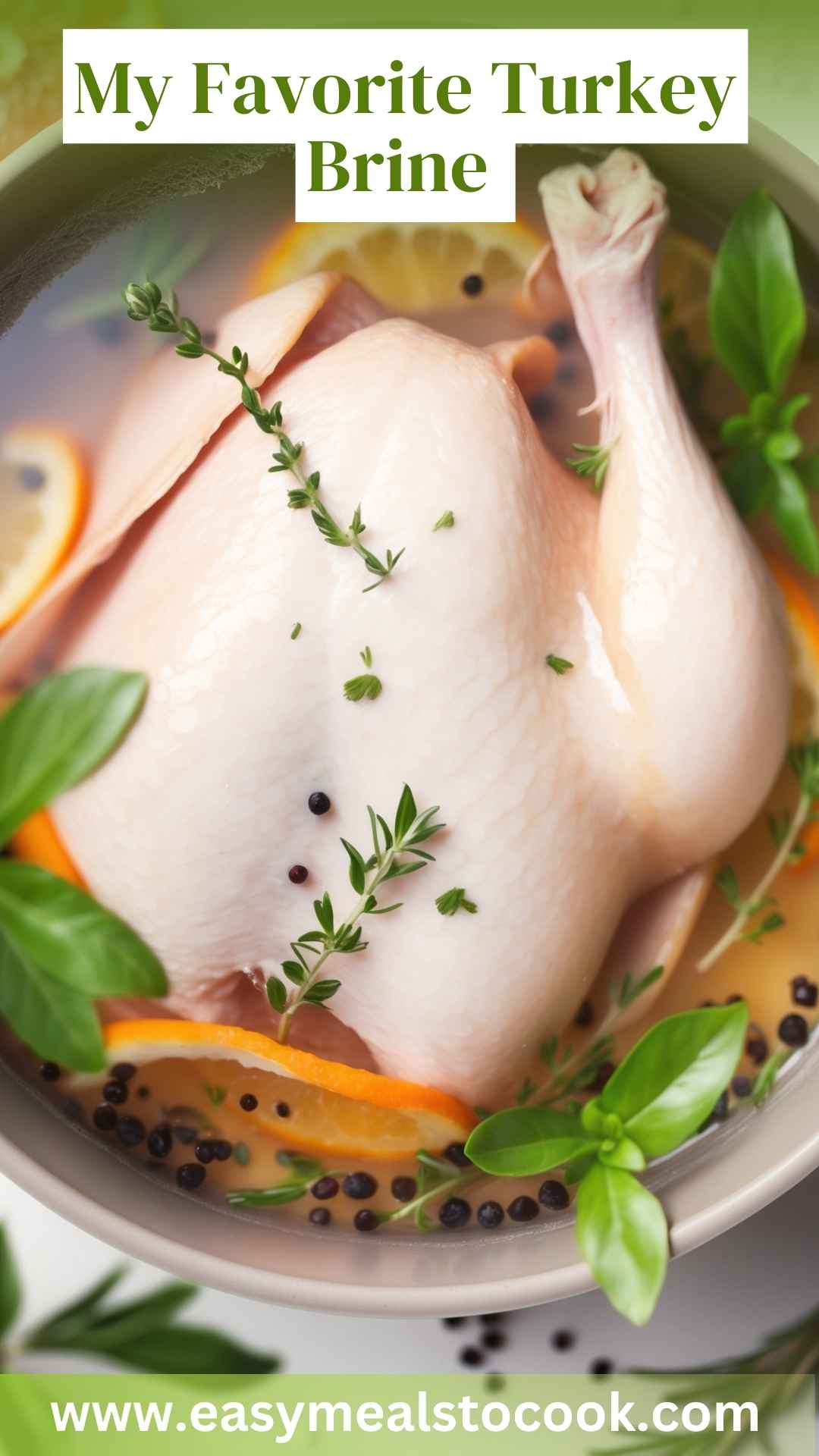 My Favorite Turkey Brine
