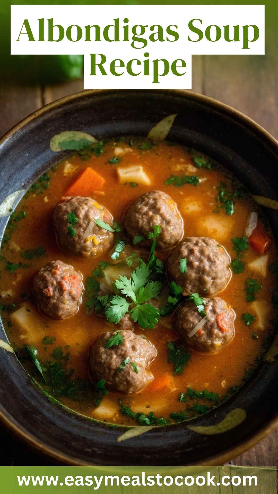 Albondigas Soup Recipe