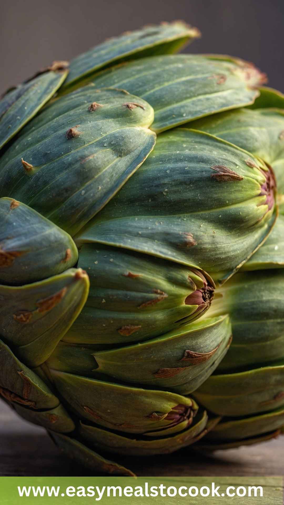 Artichoke Artichoke