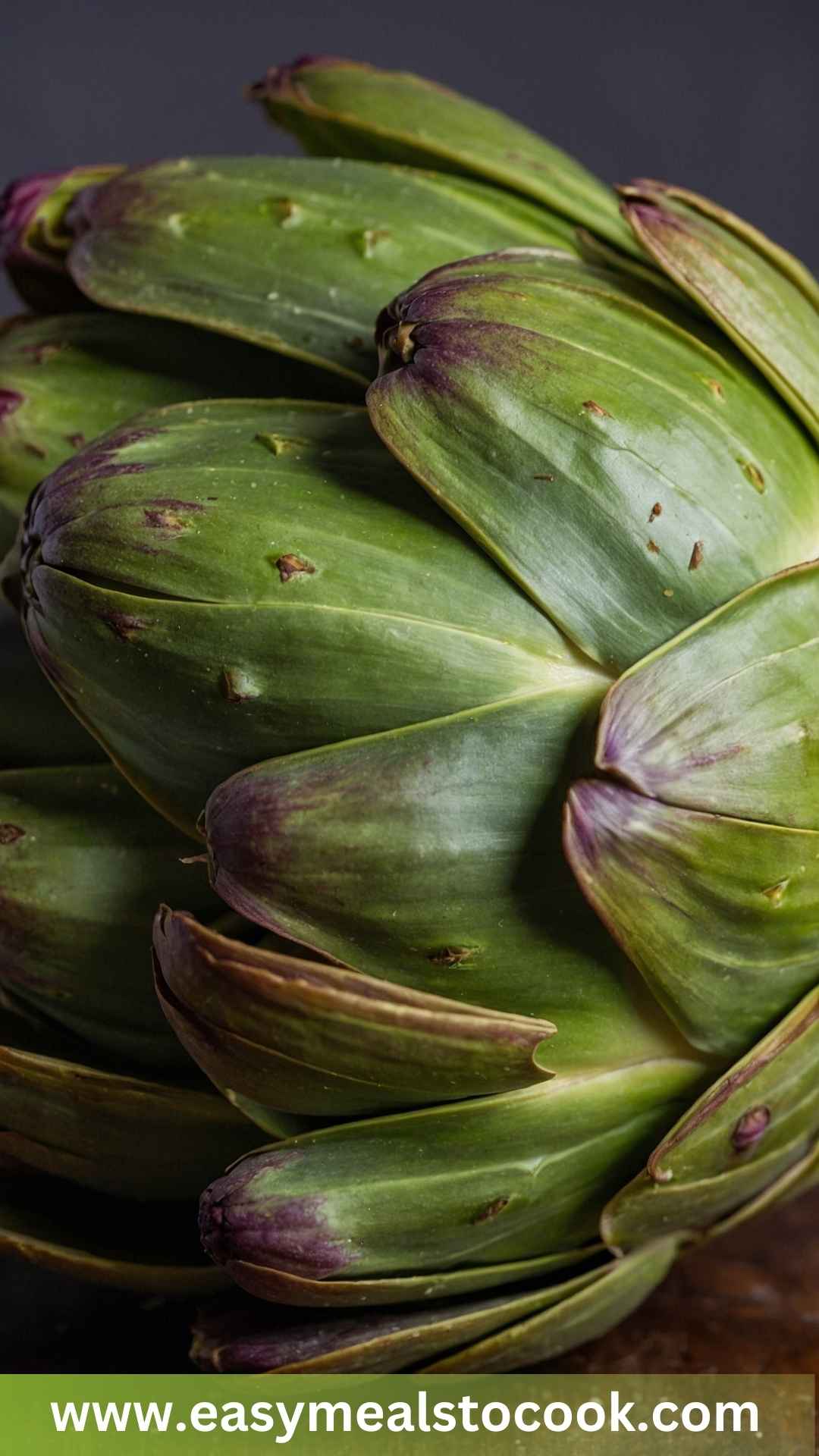 Best Artichoke Best Artichoke
