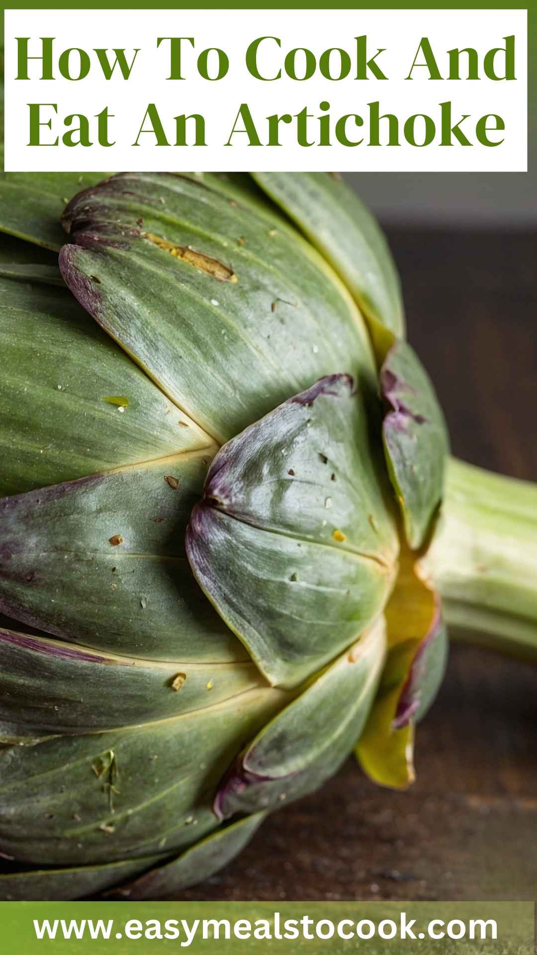 How To Cook And Eat An Artichoke
