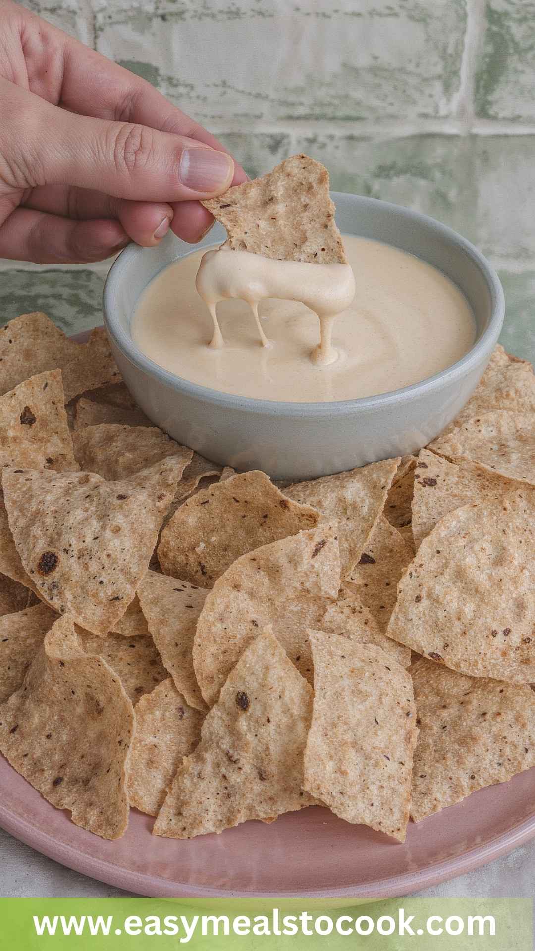 Best Queso Dip Recipe Best Queso Dip Recipe