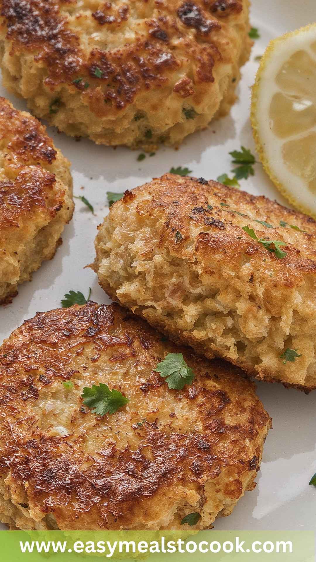 Best Tuna Patties Recipe Best Tuna Patties Recipe