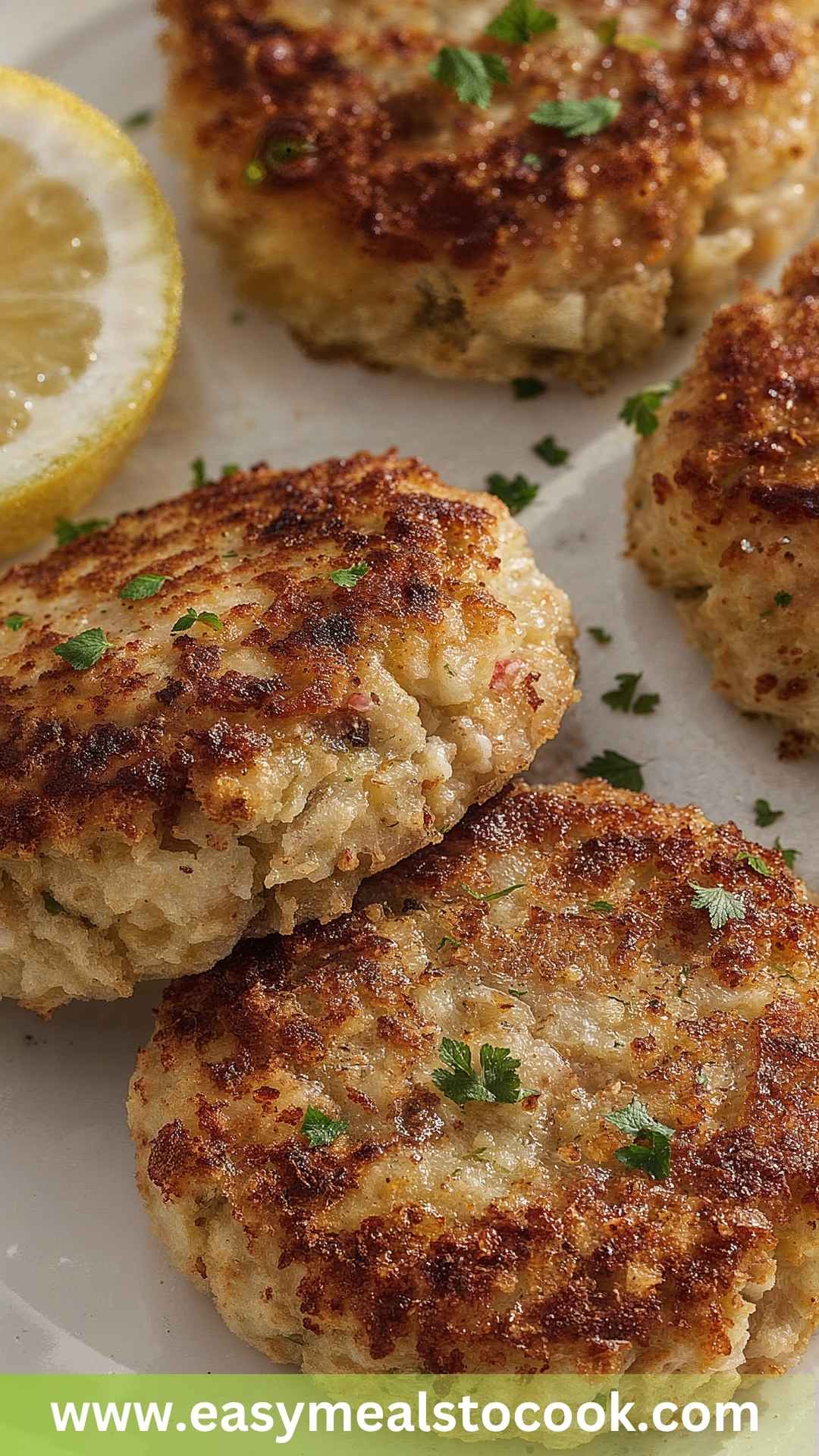 Tuna Patties Copycat Recipe Tuna Patties Copycat Recipe