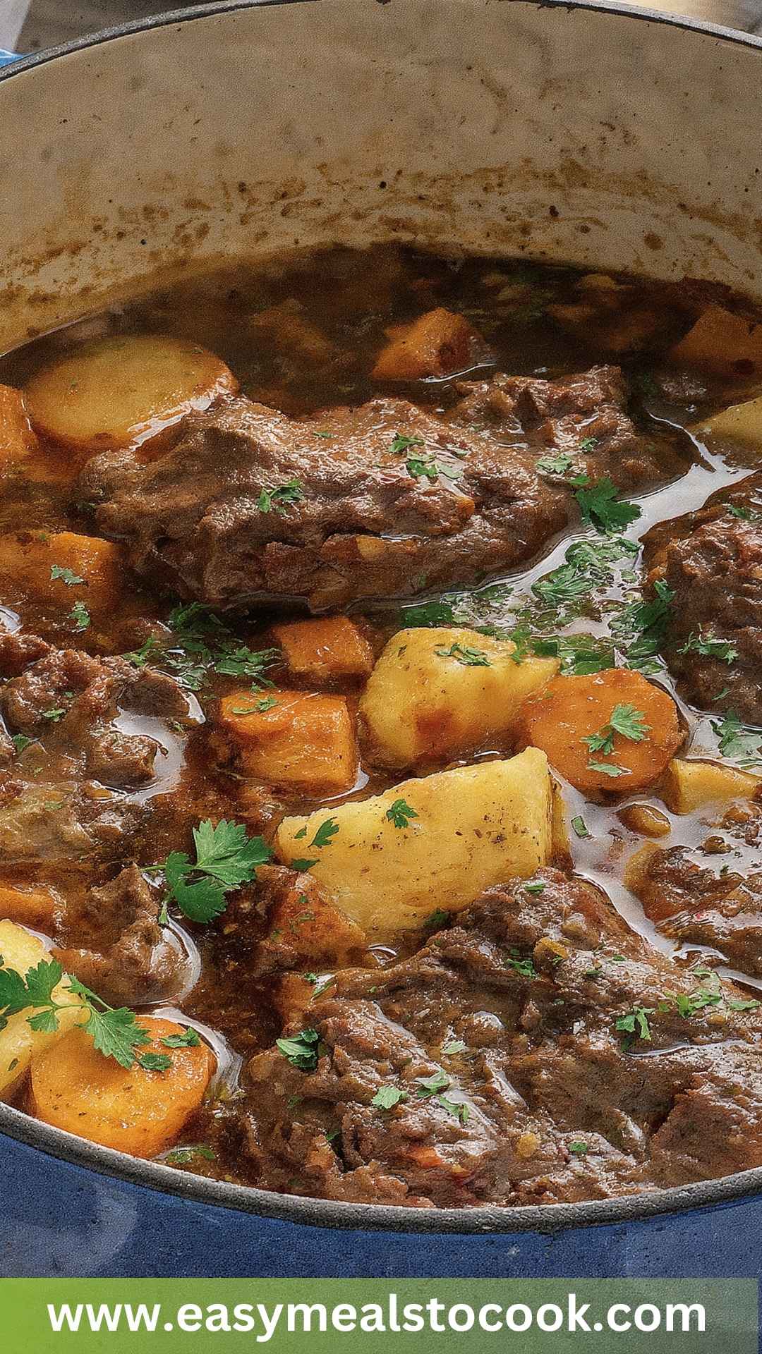Best Oxtail Stew Recipe Best Oxtail Stew Recipe
