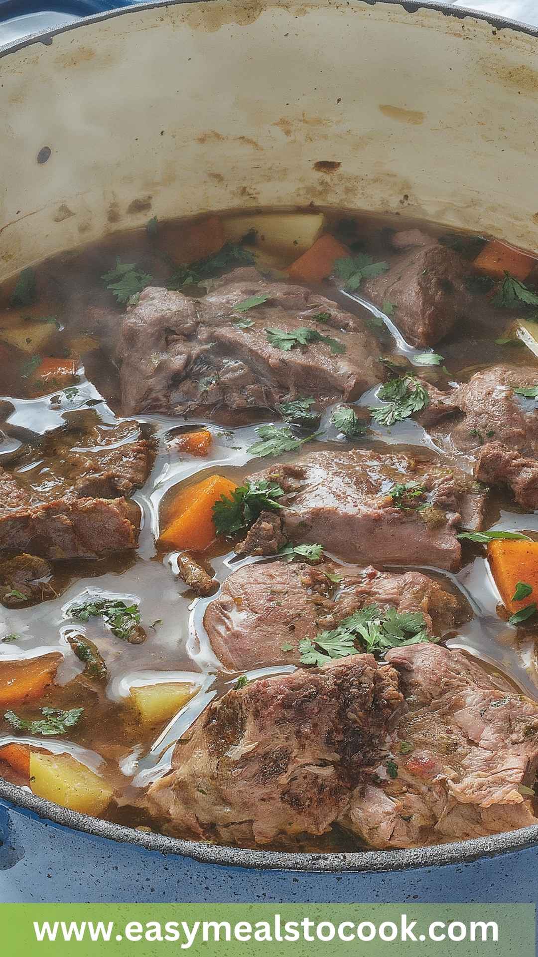 Oxtail Stew Copycat Recipe Oxtail Stew Copycat Recipe