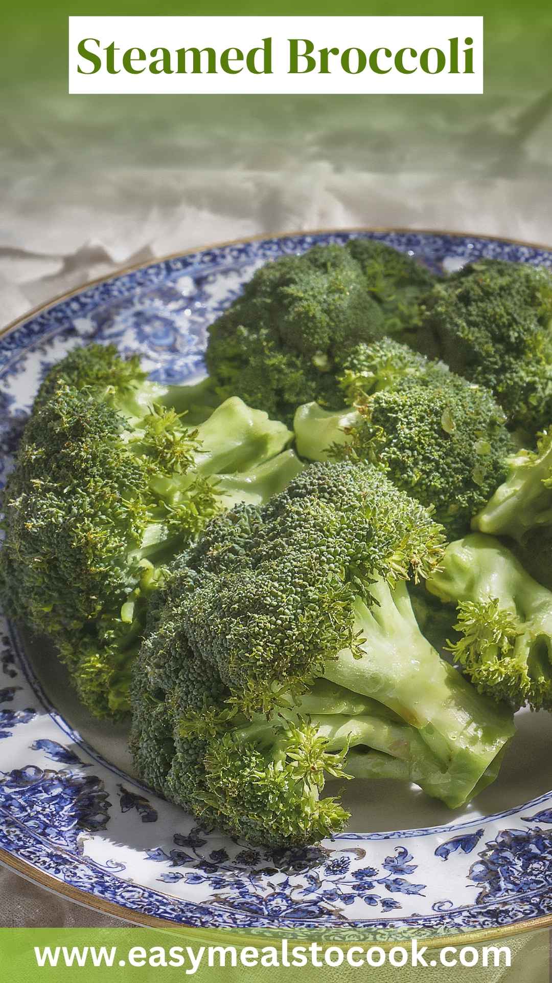 Steamed Broccoli