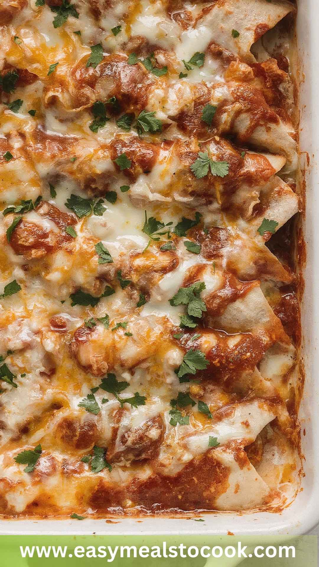 Best Enchiladas