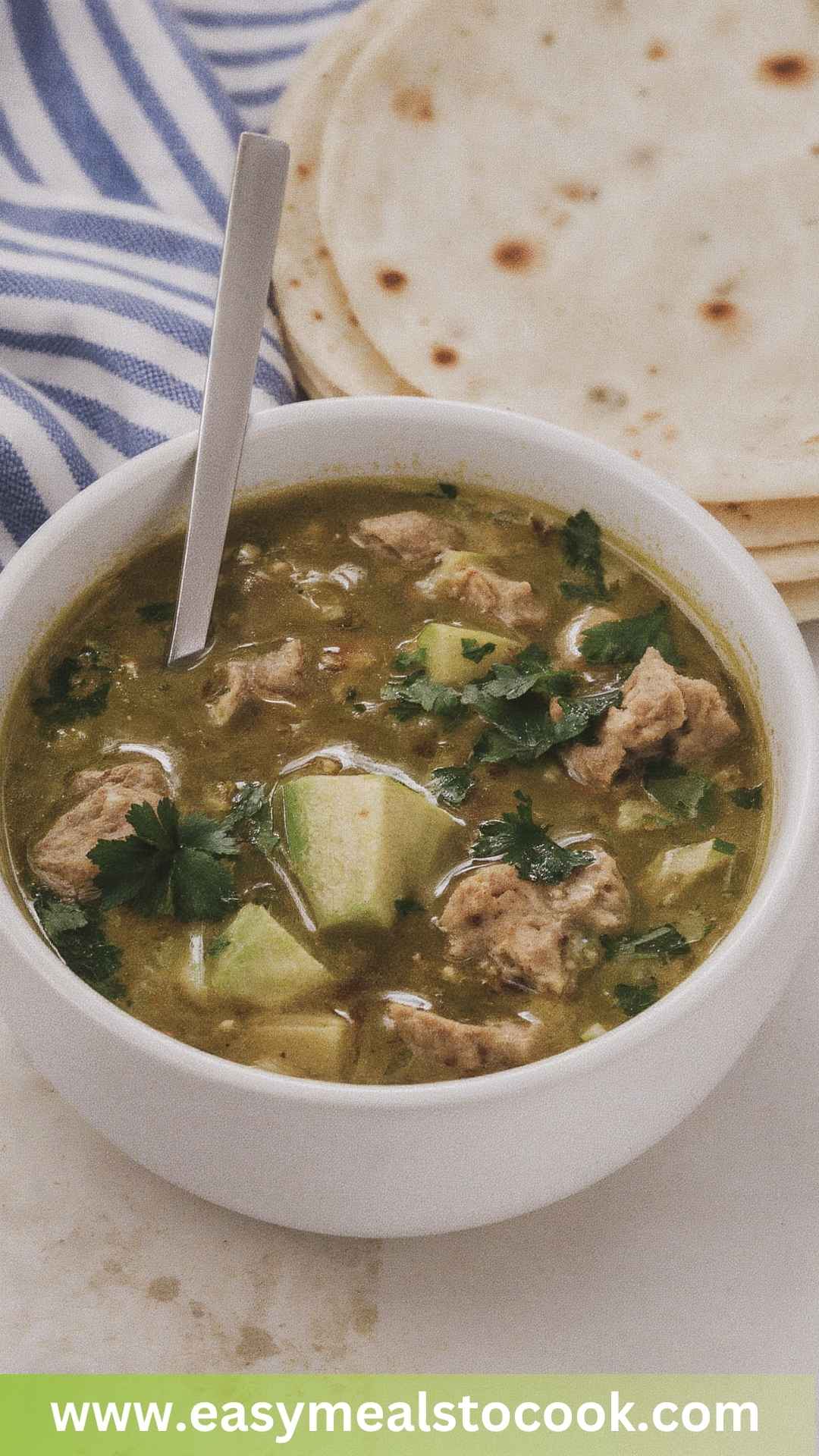 Best Chile Verde